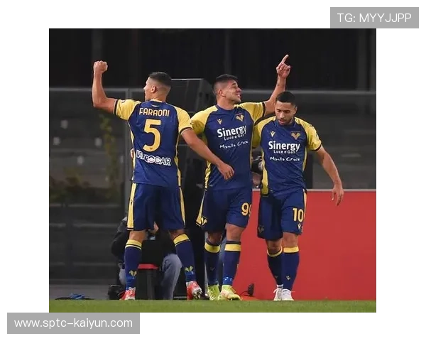 莱切0-0维罗纳,进攻乏力成保级队共同难题 莱切0-0维罗纳,进攻乏力成保级队共同难题